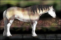Horse Color:Plaid Brown Onyx Sabino