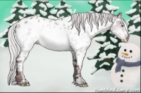 Horse Color:White Spotted Chocolate Silver Brown Chinchilla Ice Sabino Appaloosa