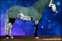 Horse Color:Watercolor Black Splash 