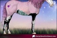 Horse Color:Watercolor Red Dun Splash 