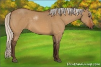 Horse Color:Silver Bay Dun