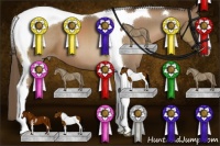 Horse Color:Black Pearl Sabino Tobiano