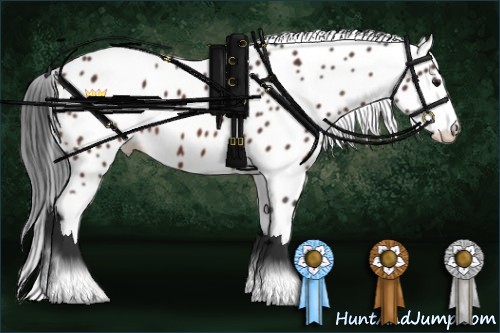 Horse Color:Brown Tobiano Leopard