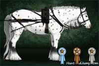 Horse Color:Brown Tobiano Leopard 