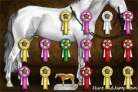 Horse Color:Black Sabino Tobiano 