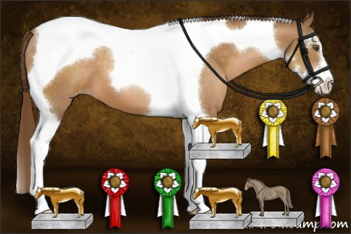Horse Color:Brown Pearl Sabino Tobiano