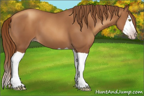 Horse Color:Gray Gold Champagne Splash 