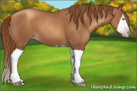 Horse Color:Gray Gold Champagne Splash 