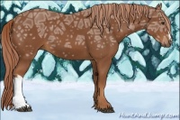 Horse Color:Chestnut Ice 