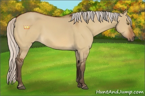 Horse Color:Silver Brown Dun 