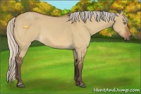 Horse Color:Silver Brown Dun