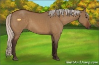 Horse Color:Silver Brown Dun 