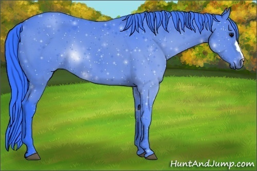 Horse Color:Watercolor Black 