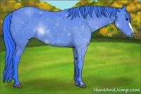 Horse Color:Watercolor Black 
