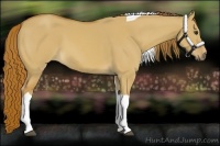 Horse Color:Red Dun Tobiano
