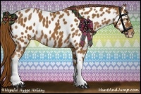 Horse Color:Chestnut Near Leopard 