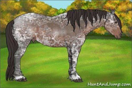 Horse Color:Liver Chestnut Ice 