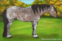 Horse Color:Liver Chestnut Ice 