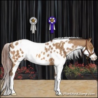 Horse Color:Amber Champagne Appaloosa and Amber Champagne Appaloosa