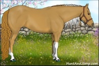 Horse Color:Chestnut Tobiano