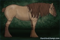 Horse Color:Liver Red Dun Roan 