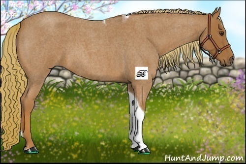 Horse Color:Red Roan Tobiano 