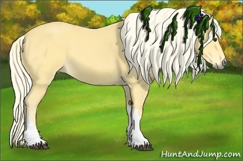 Horse Color:Palomino 