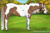 Horse Color:Chestnut Splash Tobiano