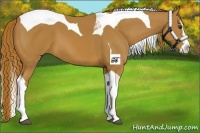Horse Color:Chestnut Splash Tobiano