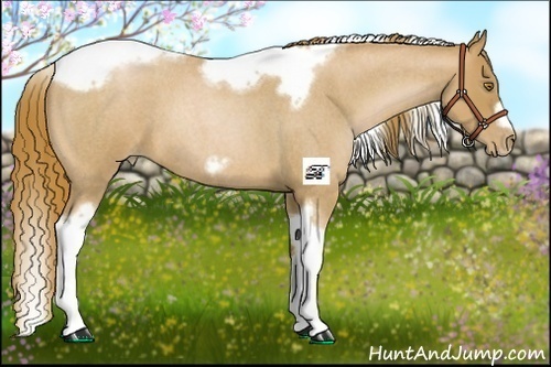 Horse Color:Red Roan Pearl Tobiano Frame