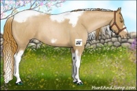 Horse Color:Red Roan Pearl Tobiano Frame 