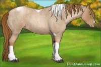 Horse Color:Liver Red Roan Pearl Tobiano Frame