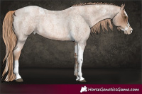 Horse Color:Liver Red Roan Pearl Splash Tobiano