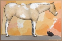 Horse Color:Red Roan Pearl Tobiano Frame 