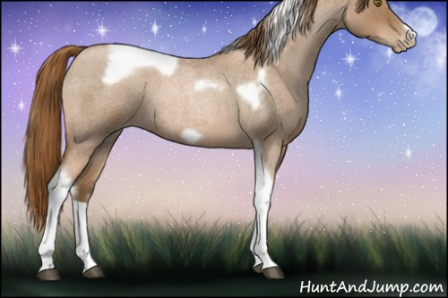 Horse Color:Liver Red Roan Pearl Tobiano Frame