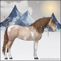 Horse Color:Liver Red Roan Pearl Tobiano Frame