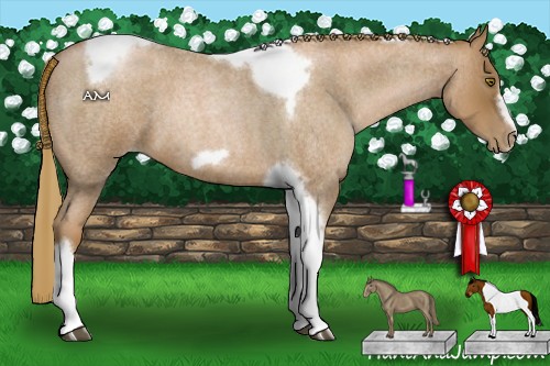 Horse Color:Liver Red Roan Pearl Tobiano Frame