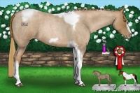 Horse Color:Liver Red Roan Pearl Tobiano Frame