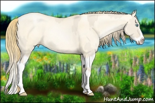 Horse Color:Smoky Creme Dun Sabino Splash  and Smoky Grullo Pearl Splash 