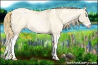 Horse Color:Smoky Creme Dun Sabino Splash and Smoky Grullo Pearl Splash