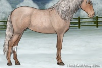 Horse Color:Silver Blue Roan Pearl 