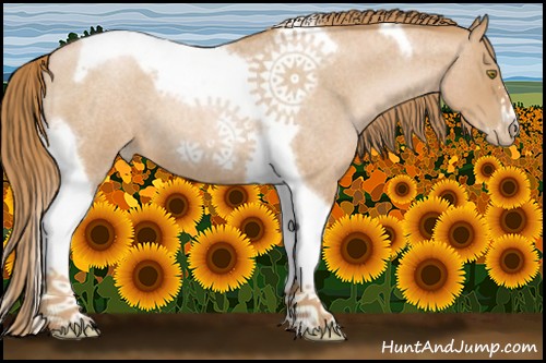 Horse Color:Red Roan Pearl Tobiano Frame 