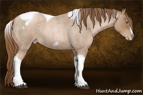 Horse Color:Liver Red Roan Pearl Tobiano Frame