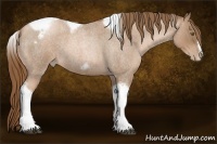 Horse Color:Liver Red Roan Pearl Tobiano Frame