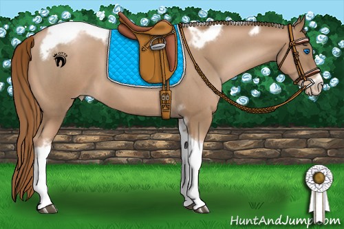 Horse Color:Liver Red Roan Pearl Tobiano Frame 