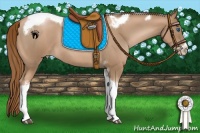 Horse Color:Liver Red Roan Pearl Tobiano Frame 