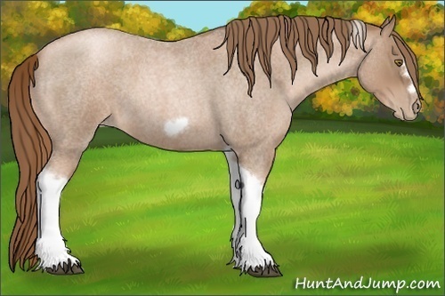 Horse Color:Liver Red Roan Pearl Tobiano Frame