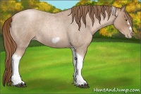 Horse Color:Liver Red Roan Pearl Tobiano Frame 