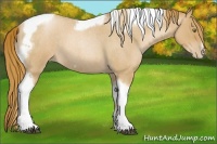 Horse Color:Red Roan Pearl Tobiano Frame