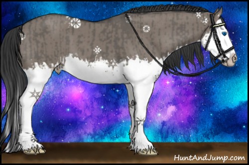 Horse Color:Grullo Sabino Splash  and Grullo Sabino Splash 